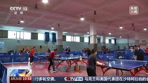 贝博艾佛森 仙游竞冠乒乓球台在哪里